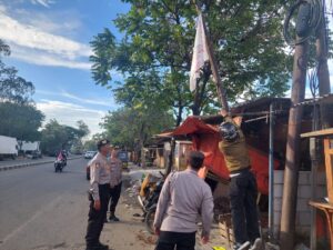 IMG-20250513-WA0010
