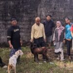 Kambing ok
