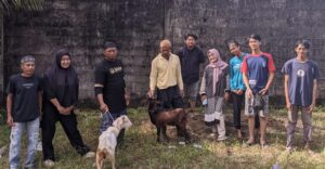 Kambing ok