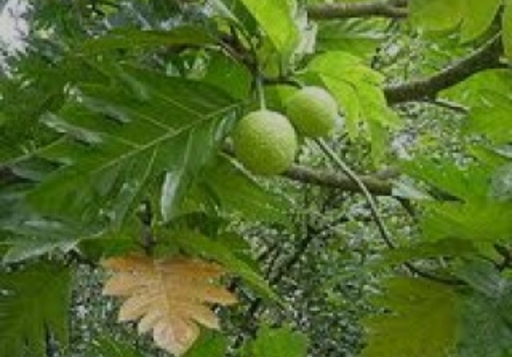 IMG_20250731_021718