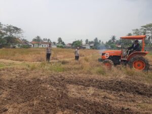 IMG-20250811-WA0058
