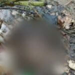 Mayat Mr X (foto istimewa)