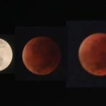 Ilustrasi fase Gerhana bulan total (Dok/Abo)