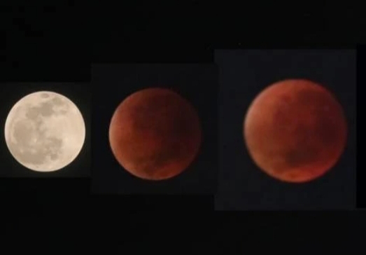 Ilustrasi fase Gerhana bulan total (Dok/Abo)