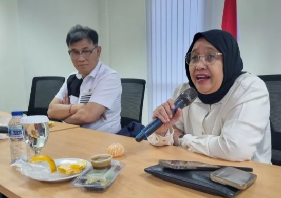 Wakil Kepala BGN, Nanik S. Deyang (foto:Ist)