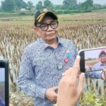 Iwan Firmansyah Effendi (Kepala DBMSDA Kabupaten Tangerang)