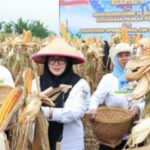 IMG_20260517_104618