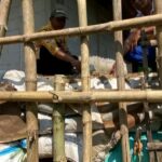 Foto: Penahan darurat, Warga gunakan tiang bambu dan karung berisi tanah