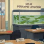 Ilustrasi Kantor Dinas Perikanan Kabupaten Tangerang